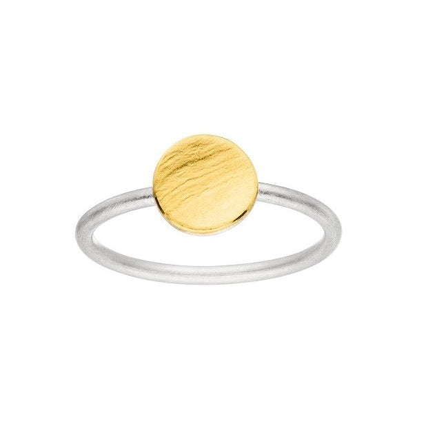 Silver and Gold Circle Ring