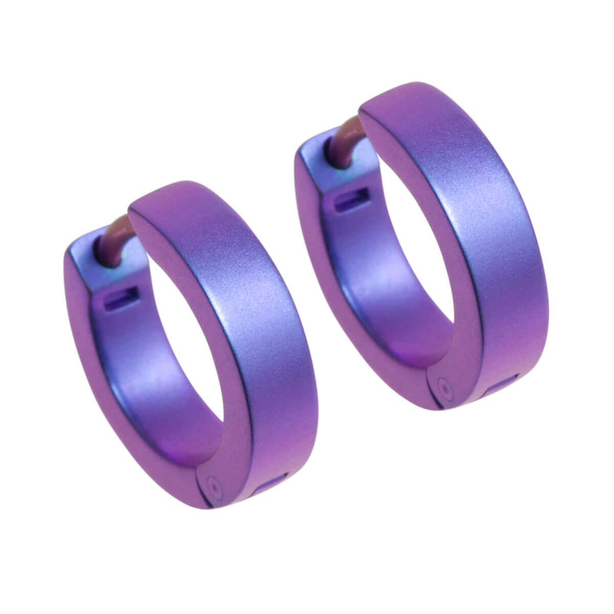 Titanium Small Hinged Hoop Earrings - Pink/Purple Tones