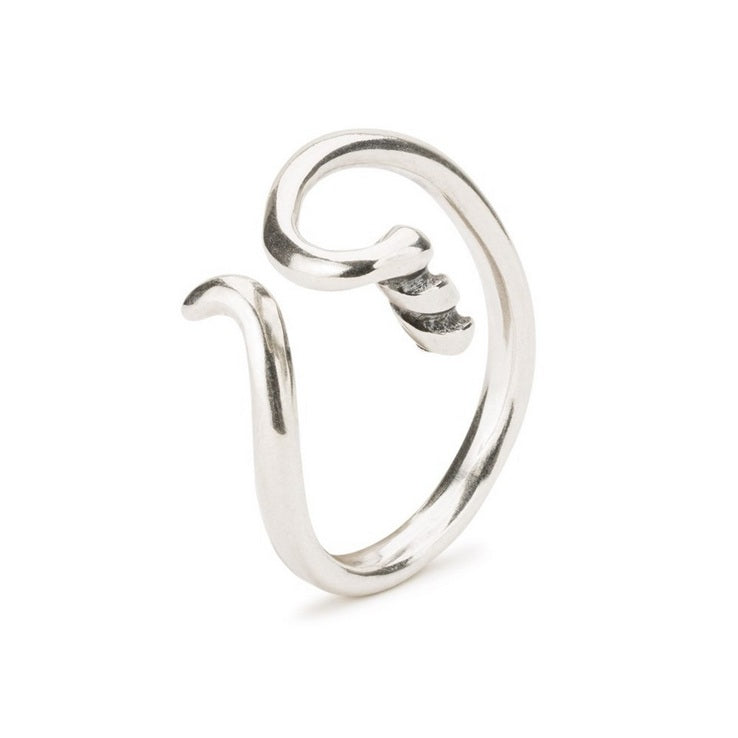 Elegant Fantasy Ring