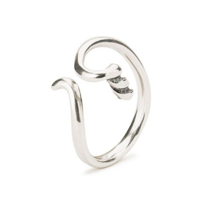 Elegant Fantasy Ring