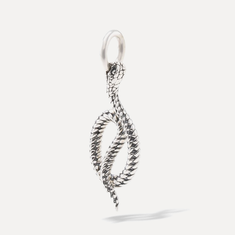 Ben Snake Silver Pendant
