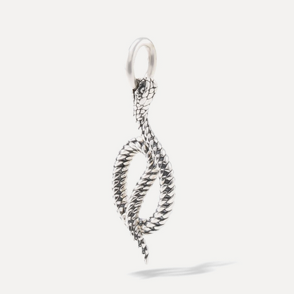 Ben Snake Silver Pendant