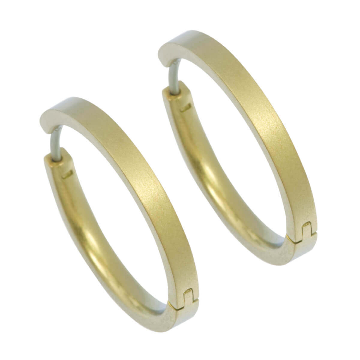 Titanium Medium Hinged Hoop Earrings - Natural Tones
