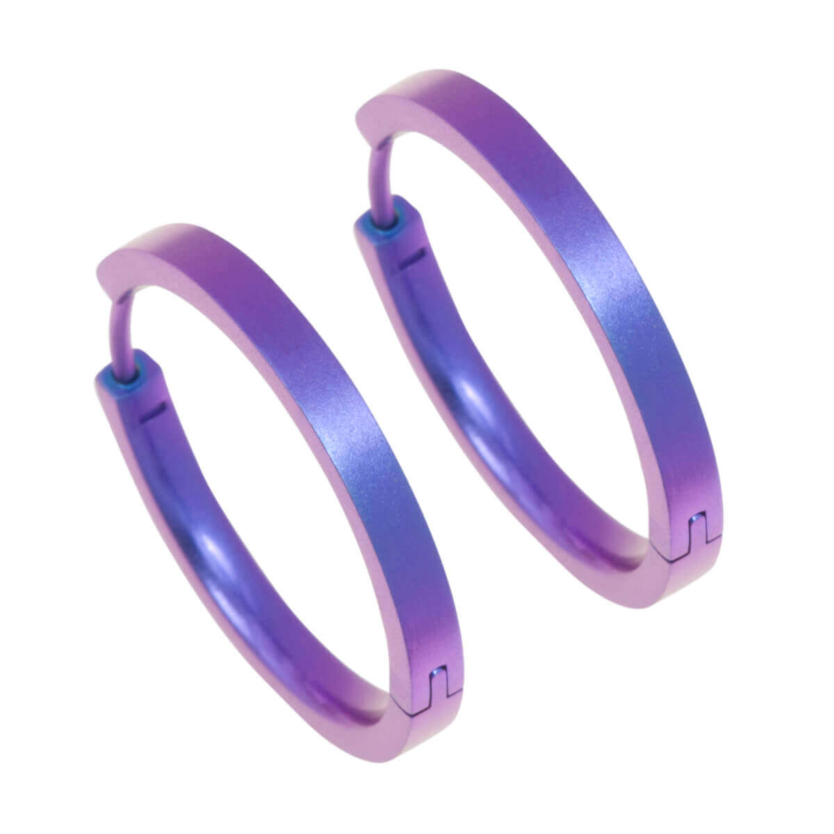 Titanium Medium Hinged Hoop Earrings- Pink/Purple Tones