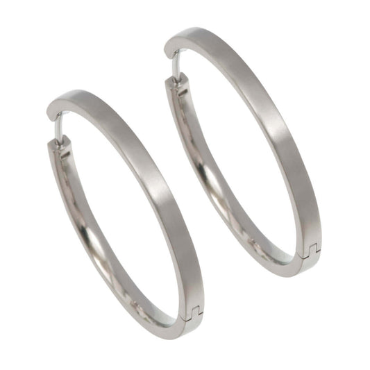 Titanium Large Hinged Hoop Earrings - Natural Tones
