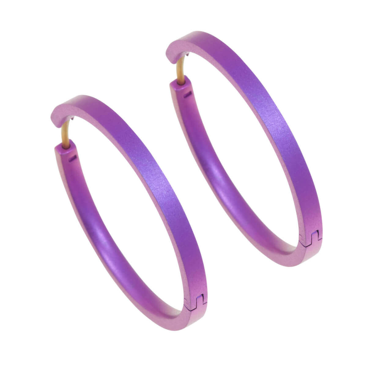 Titanium Large Hinged Hoop Earrings - Pink/Purple Tones