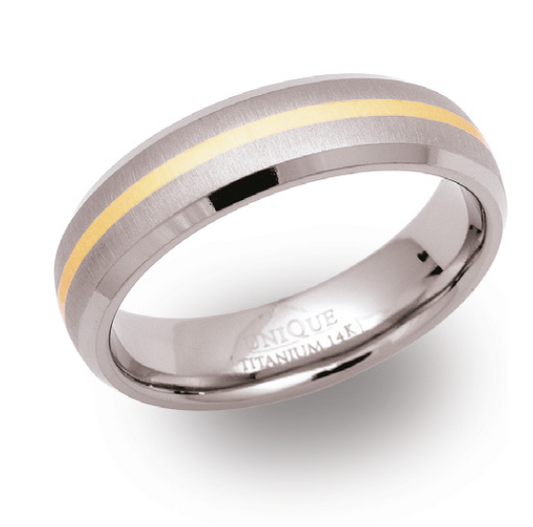 Titanium Gold Inlay Ring